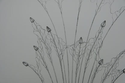 Gochka CHAREWICZ : Petits bourgeons- Lithographie originale signée