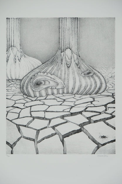 Gochka CHAREWICZ : Terre arride  - Lithographie originale signée