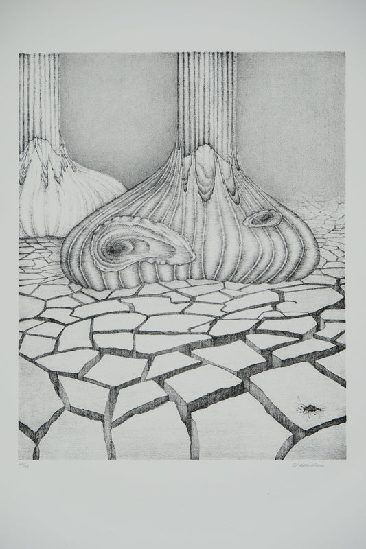 Gochka CHAREWICZ : Terre arride  - Lithographie originale signée