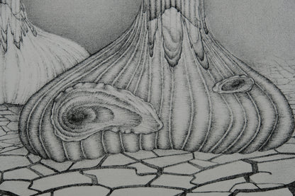 Gochka CHAREWICZ : Terre arride  - Lithographie originale signée