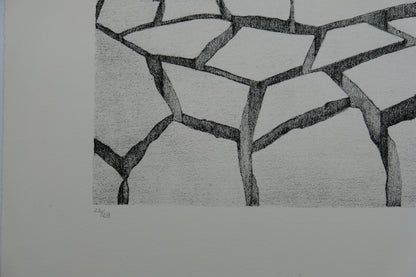 Gochka CHAREWICZ : Terre arride  - Lithographie originale signée