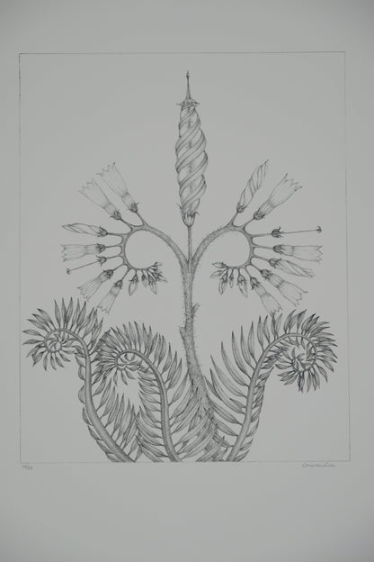 Gochka CHAREWICZ : Fleur en courbes  - Lithographie originale signée