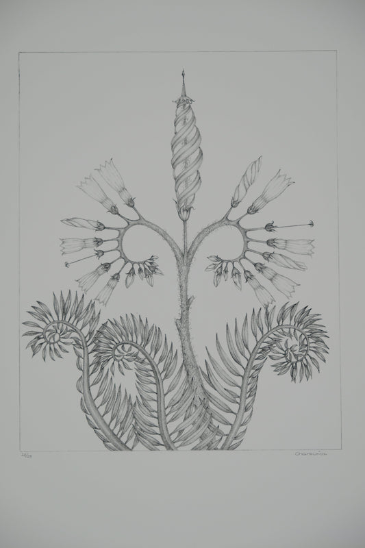 Gochka CHAREWICZ : Fleur en courbes  - Lithographie originale signée