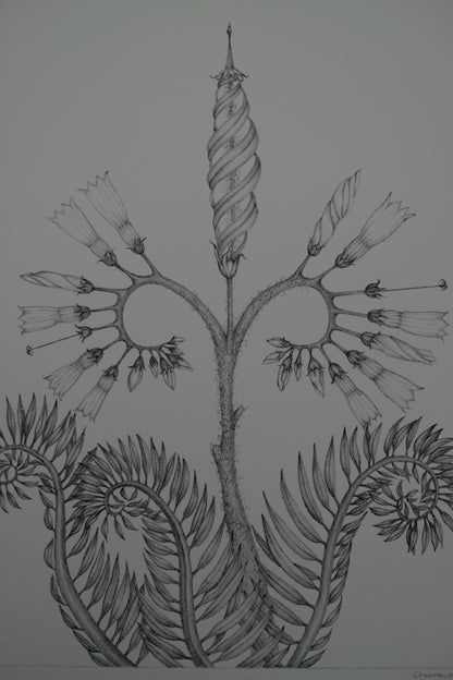 Gochka CHAREWICZ : Fleur en courbes  - Lithographie originale signée