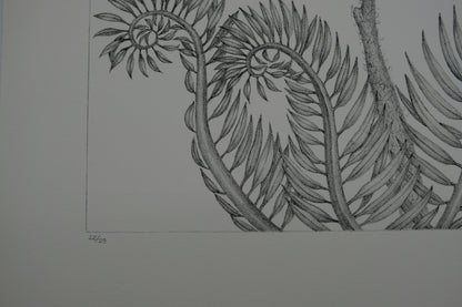 Gochka CHAREWICZ : Fleur en courbes  - Lithographie originale signée