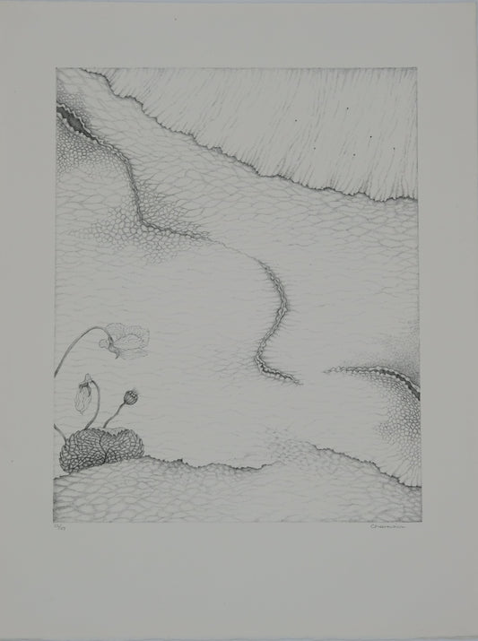 Gochka CHAREWICZ : Le sentier - Lithographie originale signée