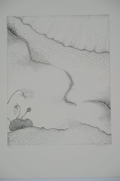 Gochka CHAREWICZ : Le sentier - Lithographie originale signée