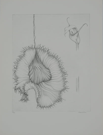 Gochka CHAREWICZ : La fleur éclose- Lithographie originale signée