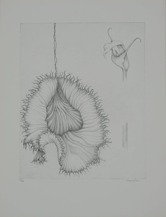 Gochka CHAREWICZ : La fleur éclose- Lithographie originale signée