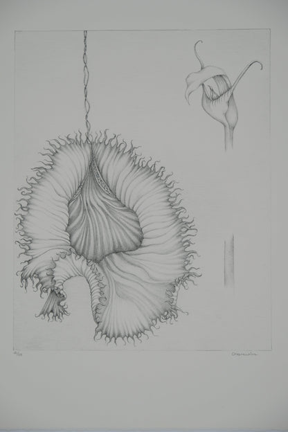Gochka CHAREWICZ : La fleur éclose- Lithographie originale signée