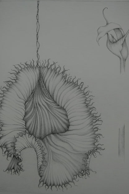 Gochka CHAREWICZ : La fleur éclose- Lithographie originale signée