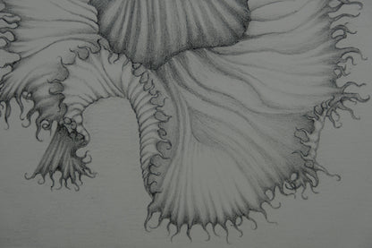 Gochka CHAREWICZ : La fleur éclose- Lithographie originale signée