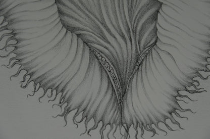 Gochka CHAREWICZ : La fleur éclose- Lithographie originale signée