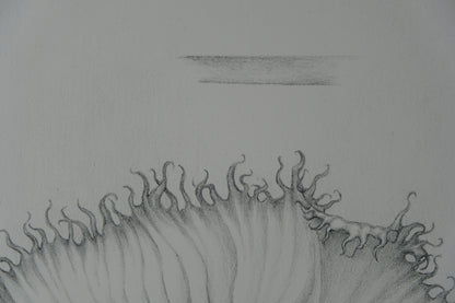 Gochka CHAREWICZ : La fleur éclose- Lithographie originale signée