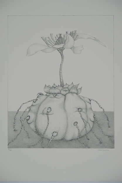 Gochka CHAREWICZ : L'éclosion - Lithographie originale signée