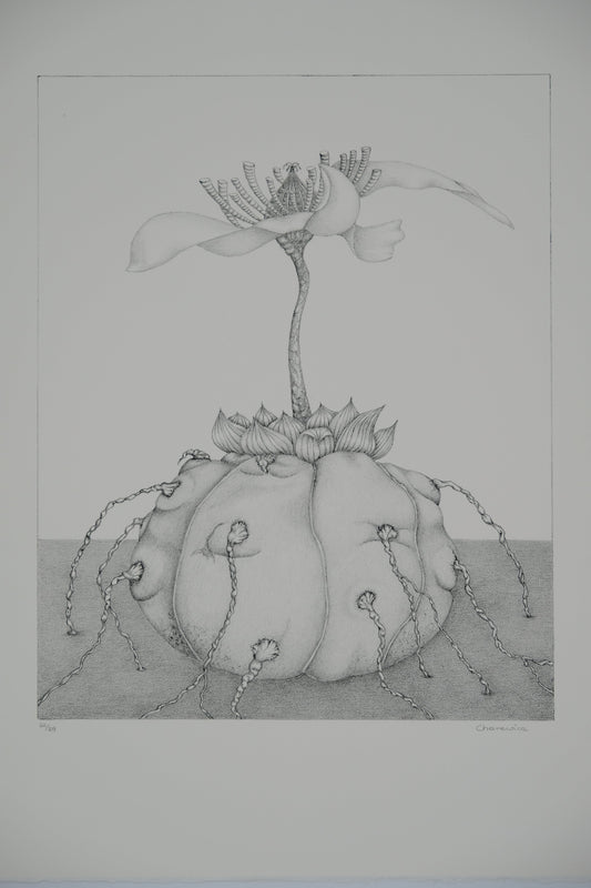 Gochka CHAREWICZ : L'éclosion - Lithographie originale signée