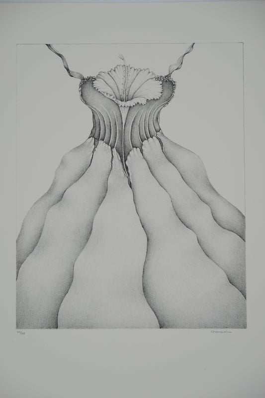 Gochka CHAREWICZ : Tour végétale - Lithographie originale signée