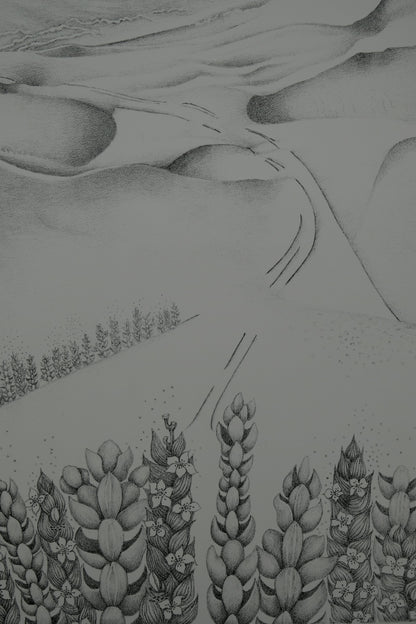 Gochka CHAREWICZ : La vallée perdue - Lithographie originale signée