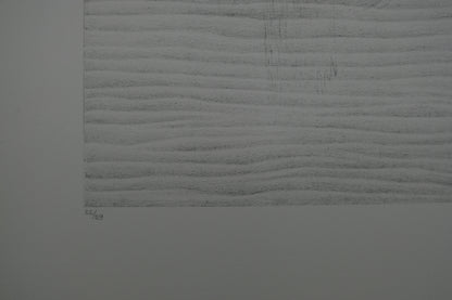 Gochka CHAREWICZ : Les ricochets - Lithographie originale signée