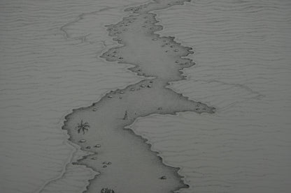 Gochka CHAREWICZ : La plage - Lithographie originale signée