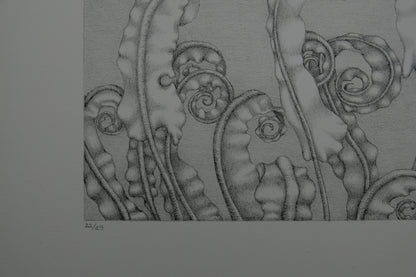 Gochka CHAREWICZ : Horizon - Lithographie originale signée