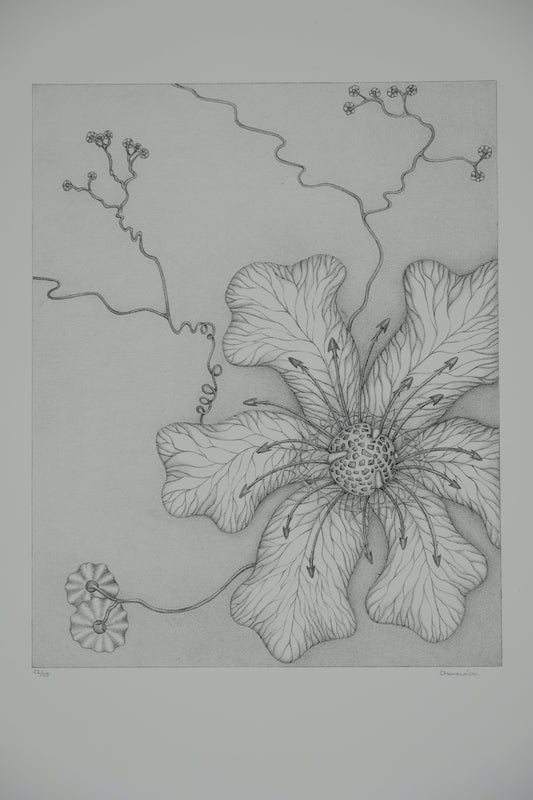 Gochka CHAREWICZ : Grande fleur - Lithographie originale signée