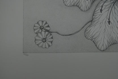 Gochka CHAREWICZ : Grande fleur - Lithographie originale signée