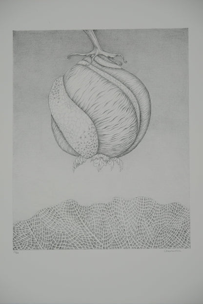 Gochka CHAREWICZ : Avant la naissance - Lithographie originale signée