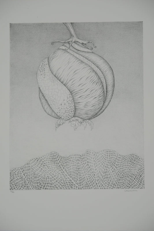 Gochka CHAREWICZ : Avant la naissance - Lithographie originale signée
