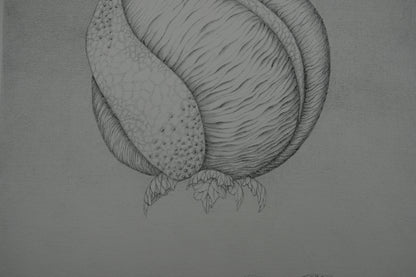 Gochka CHAREWICZ : Avant la naissance - Lithographie originale signée