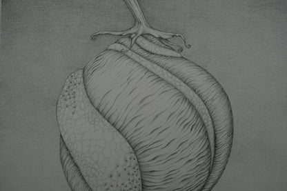 Gochka CHAREWICZ : Avant la naissance - Lithographie originale signée