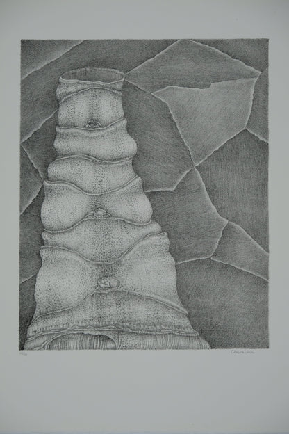 Gochka CHAREWICZ : La tour - Lithographie originale signée