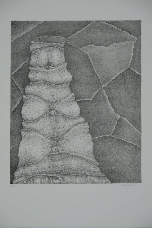 Gochka CHAREWICZ : La tour - Lithographie originale signée