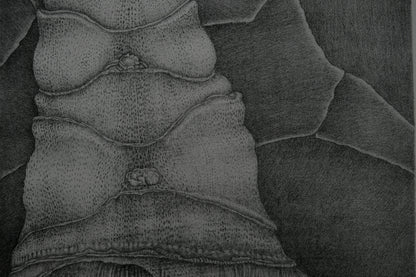 Gochka CHAREWICZ : La tour - Lithographie originale signée