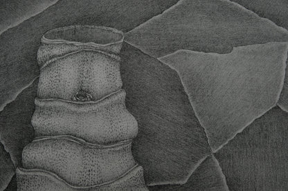 Gochka CHAREWICZ : La tour - Lithographie originale signée