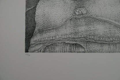 Gochka CHAREWICZ : La tour - Lithographie originale signée