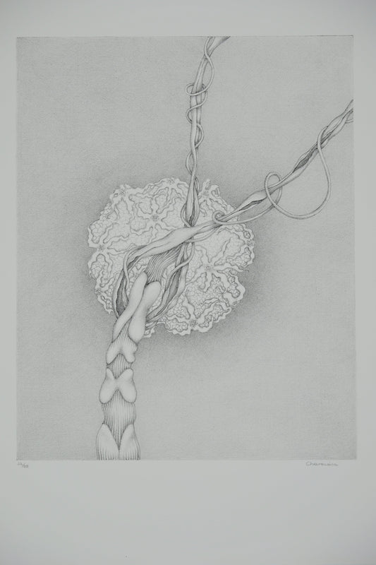Gochka CHAREWICZ : Eclosion - Lithographie originale signée