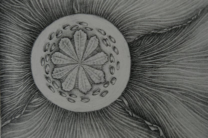 Gochka CHAREWICZ : L'épanouissement - Lithographie originale signée