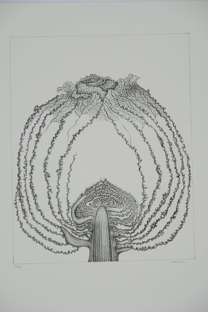 Gochka CHAREWICZ : Le chou - Lithographie originale signée