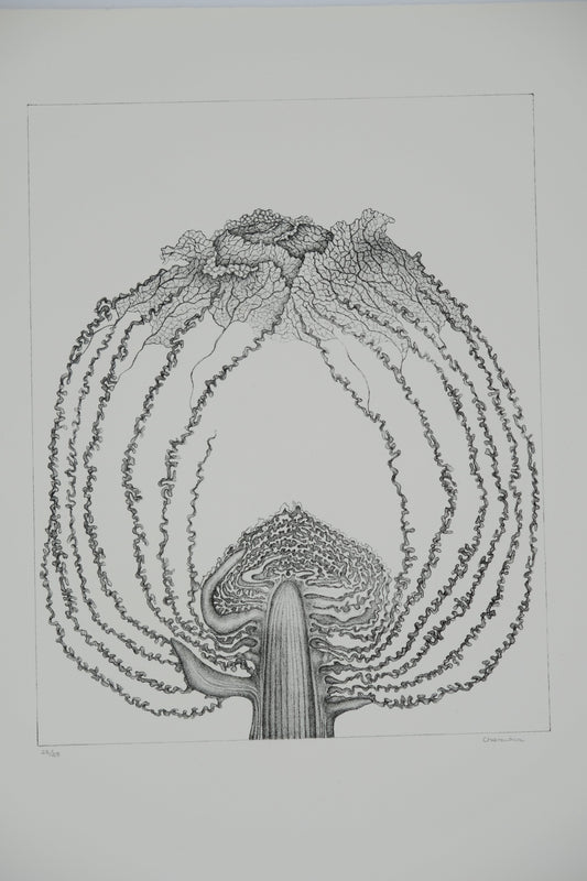 Gochka CHAREWICZ : Le chou - Lithographie originale signée