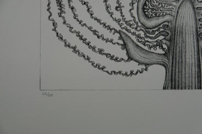 Gochka CHAREWICZ : Le chou - Lithographie originale signée