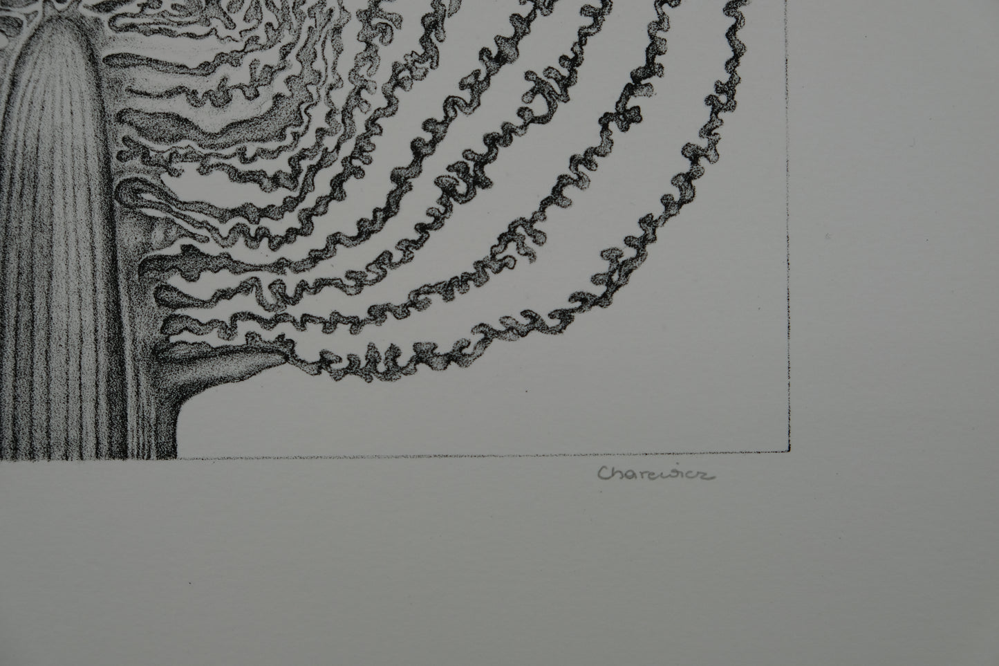 Gochka CHAREWICZ : Le chou - Lithographie originale signée
