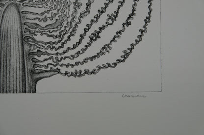 Gochka CHAREWICZ : Le chou - Lithographie originale signée