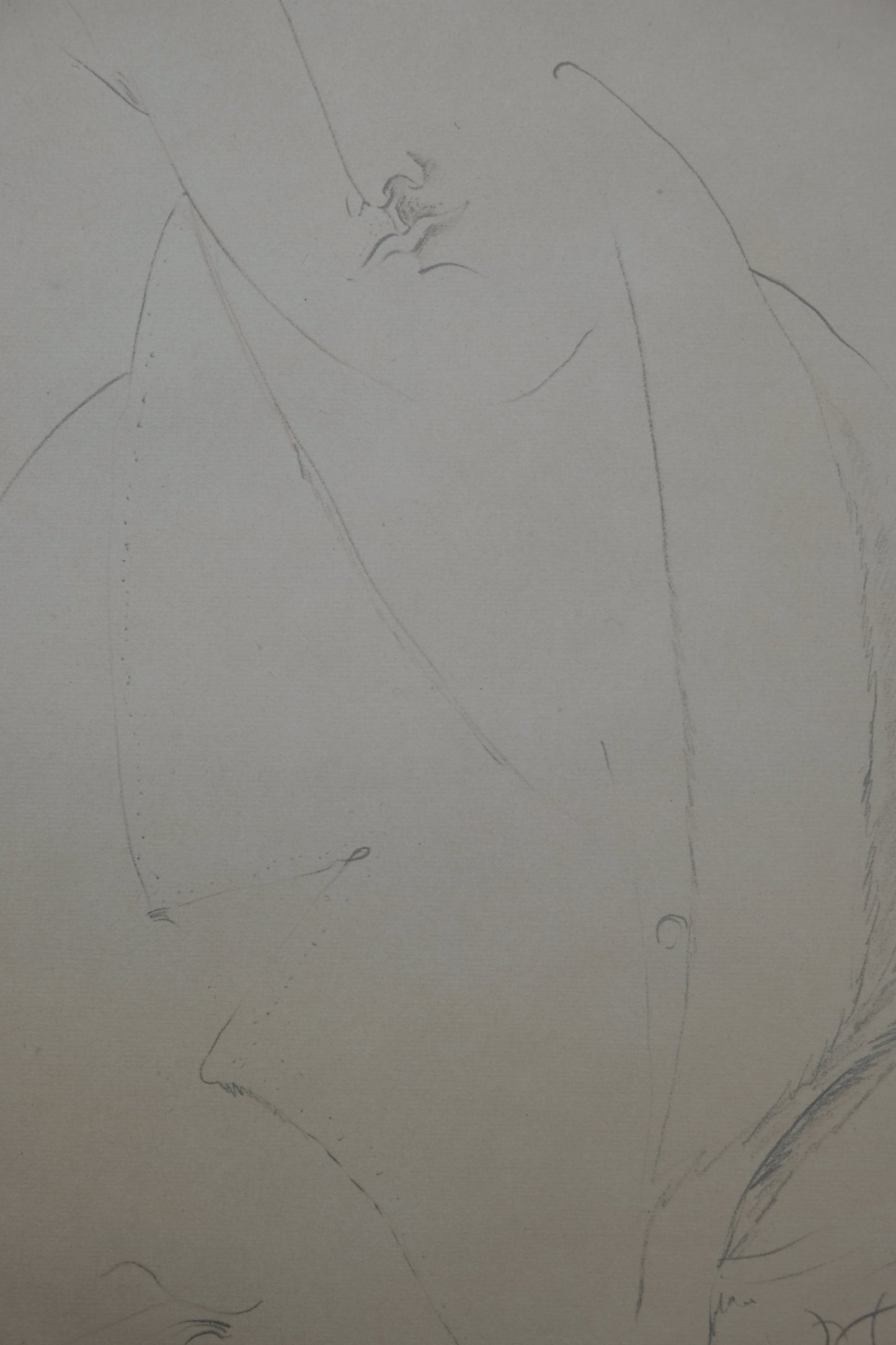 Amedeo MODIGLIANI : Homme à la moustache - Lithographie signée