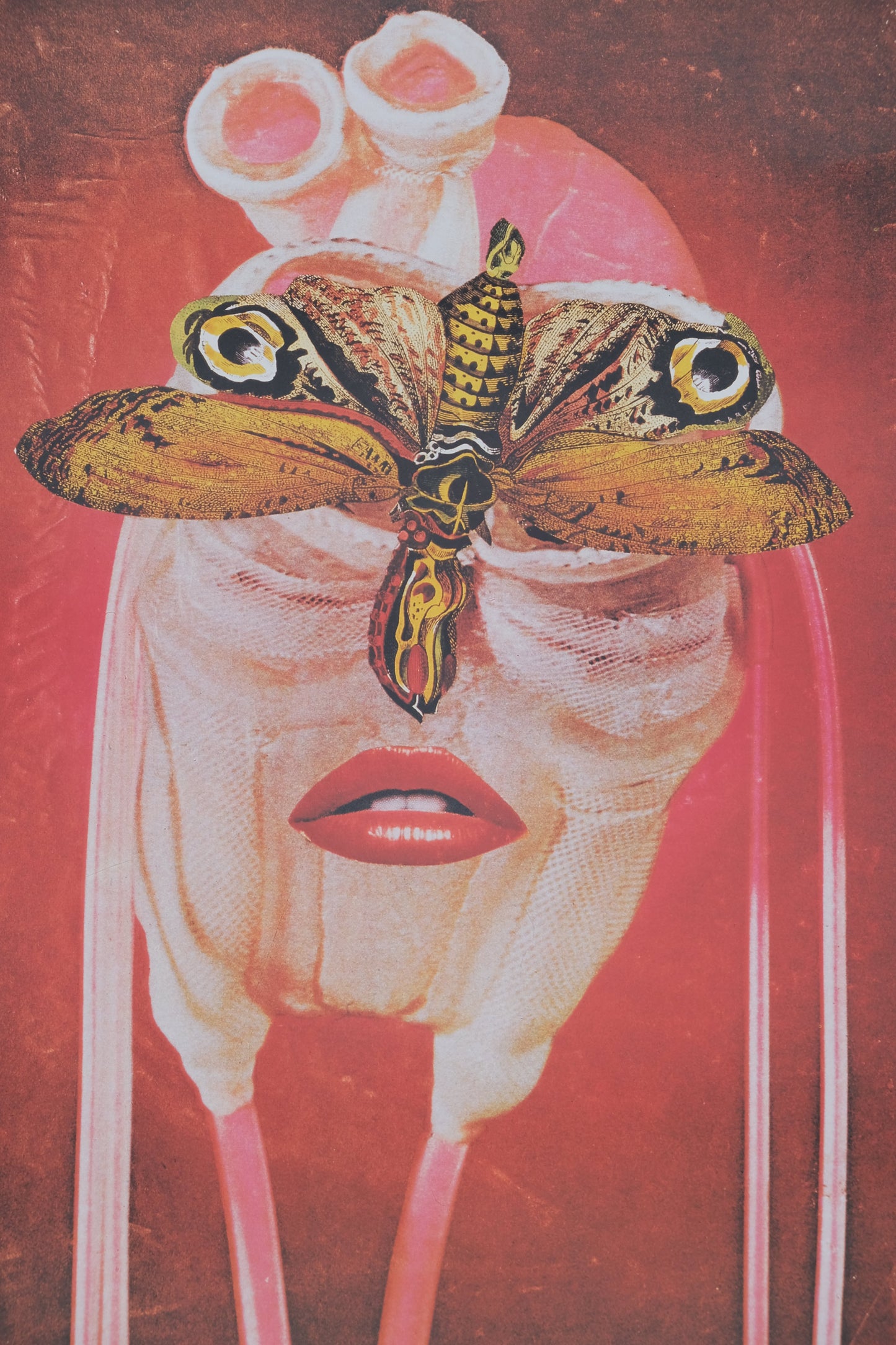 A la rencontre de Jacques Prévert : Visage-Papillon - Affiche originale en couleurs
