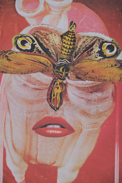 A la rencontre de Jacques Prévert : Visage-Papillon - Affiche originale en couleurs