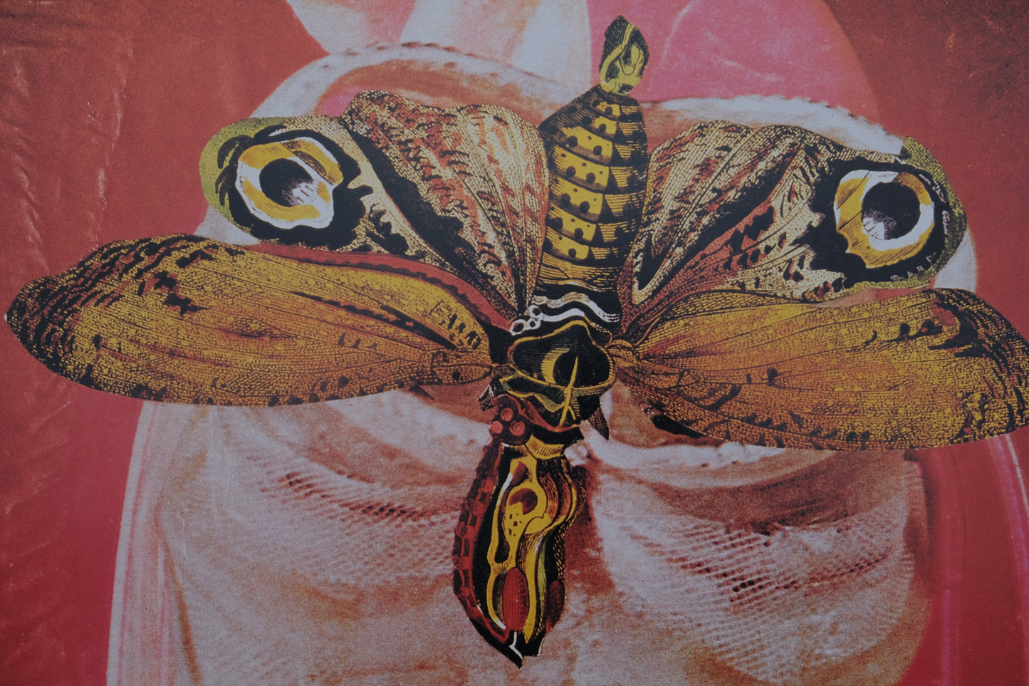 A la rencontre de Jacques Prévert : Visage-Papillon - Affiche originale en couleurs