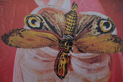 A la rencontre de Jacques Prévert : Visage-Papillon - Affiche originale en couleurs