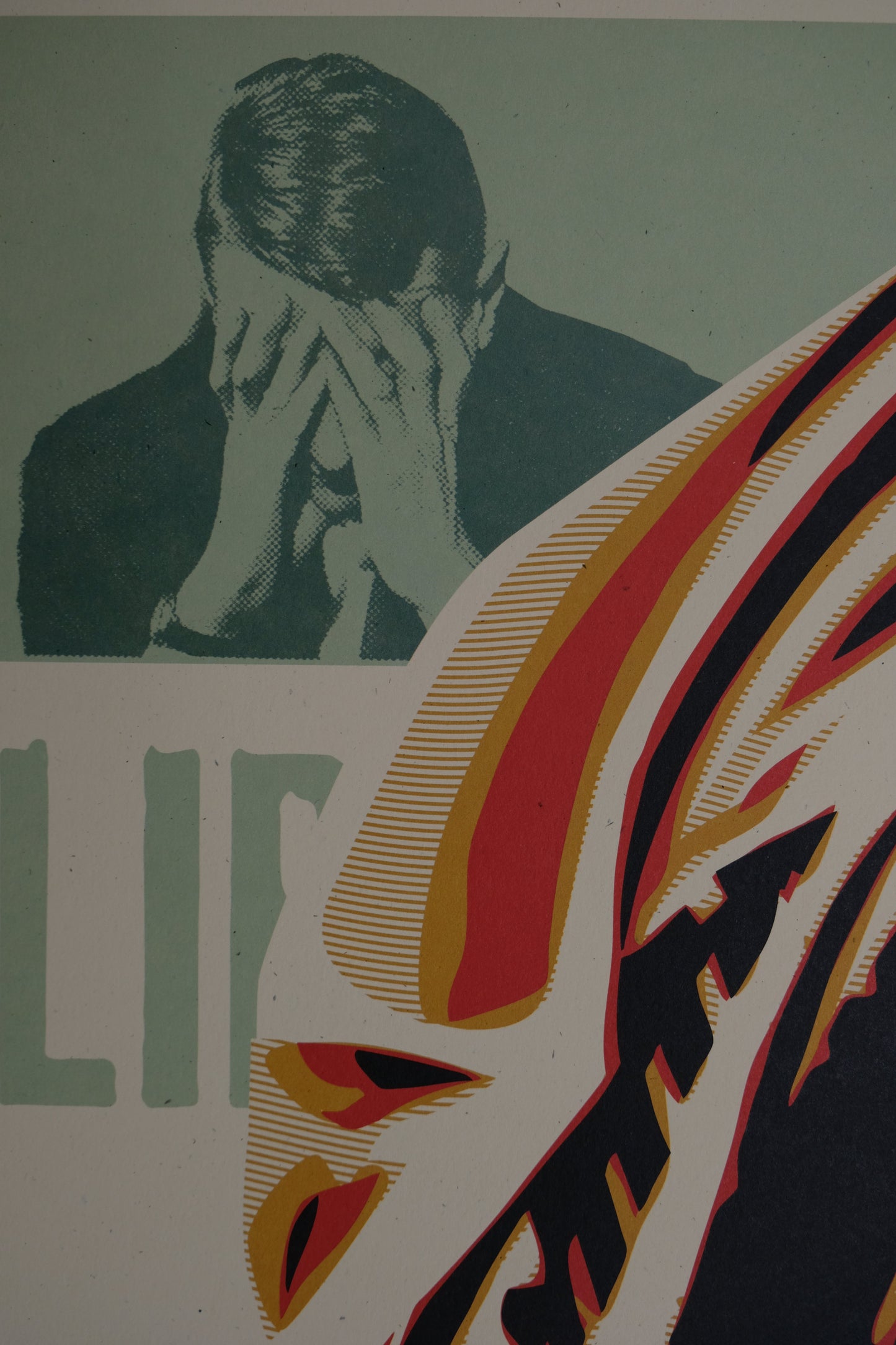 Shepard FAIREY (OBEY) : Voting Rights Are Human Rights - Lithographie originale signée