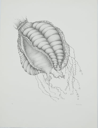 Gochka CHAREWICZ : Nepenthes sins iridum  - Lithographie originale signée